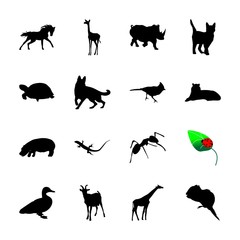 icon Animal with secury, racing, graphic, nanny goat and wild