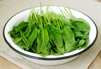 Bright fresh leaves of sorrel in a bowl of water. Rustic style.