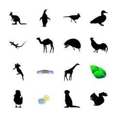 icon Animal with kangaroo, caricature, macro, modern and animals