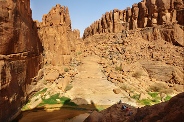The Guelta d'Archei located in the Ennedi Plateau, in north-eastern Chad
