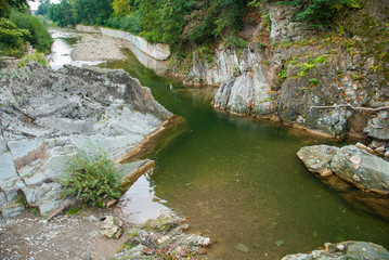 Mountain river flowing through the green forest