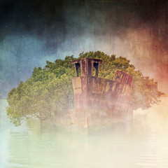Grunge textured ghostly rusted shipwreck of the steam collier SS Ayrfield at Homebush bay, Sydney,...