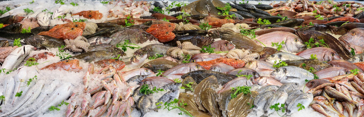 Variety of sea fishes on the counter in a greek fish shop.