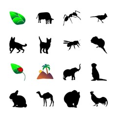 icon Animal with leaf, antenna, meerkat, art and black