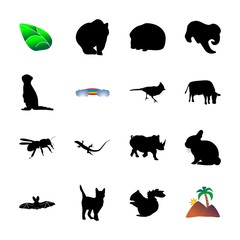 icon Animal with clip, decoration, night, wildlife and art