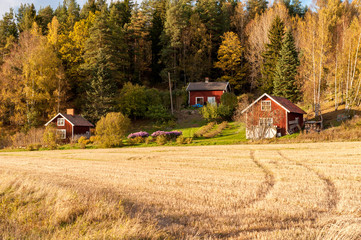 The countryside of Vikbolandet during autumn in Sweden