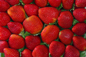 Red strawberries