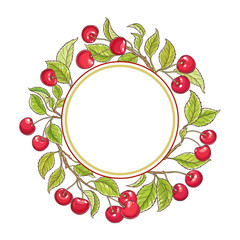 cherry branch vector frame