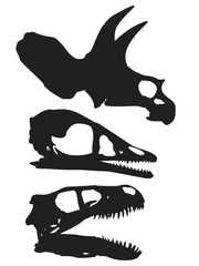 skulls  dinosaur vector