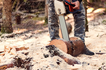 Cropped shot of lumberjack with chainsaw