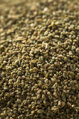 Obraz premium Healthy Dry Organic Celery Seeds