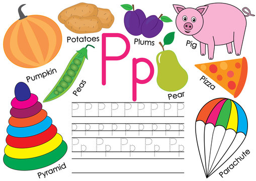 Letter P. English alphabet. Education for children. Writing practice with pictures.