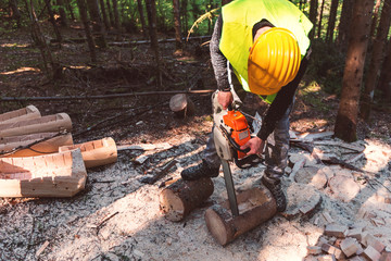 Lumberjack at work in forest