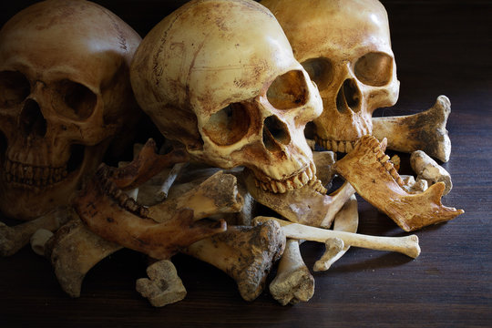 Awesome pile of three skull and bone on dark background in the morgue, Still Life style, selective focus..
