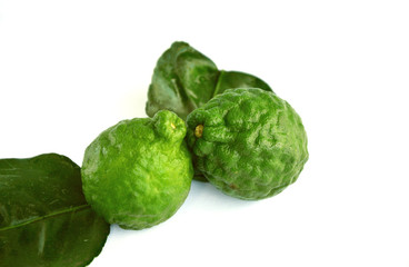 makrut lime or kaffir lime (Citrus hystrix) on white background.
Health Benefits of kaffir lime For Beauty and Traditional Medicine.