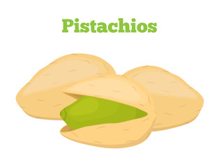 Vector pistachios set. Tasty organic nut with shell