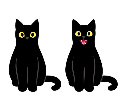 Black cat sitting illustration