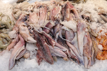 Freshly caught European squids Loligo vulgaris on the counter in a greek fish shop.