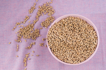 Pale malt in pink bowl on purple textile background. Craft beer brewing from grain barley malt in process. Ale or lager from pale or dark pilsner malt.