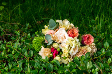 flowers grass