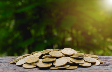 Saving money with stack of coin growing for business and accounting concept on nature background.