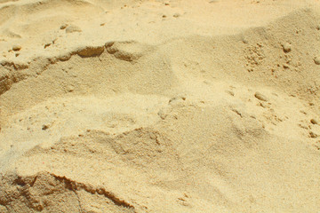 Beach sand close-up. Background.