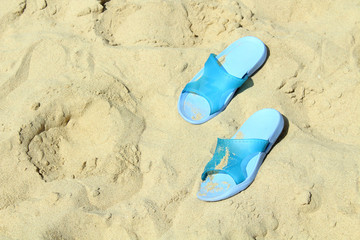 Female shales of blue color on the beach sand. Close-up. Background. 