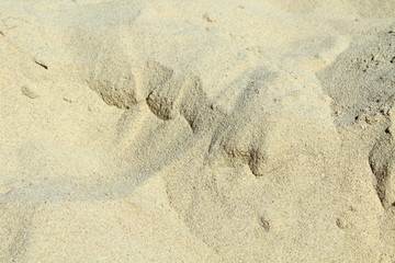 Beach sand close-up. Background.