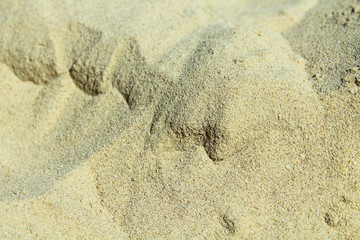 Beach sand close-up. Background.
