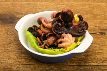 Boiled baby octopuses