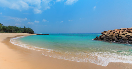blue ocean with yellow sand and palm trees