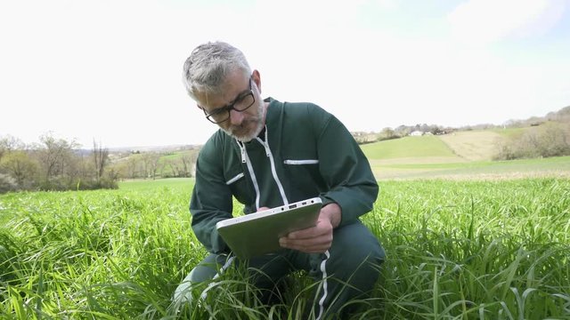 Farmer in agricultural field using tablet