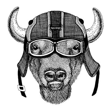 Buffalo, bison, ox Hipster animal wearing motorycle helmet. Image for kindergarten children clothing, kids. T-shirt, tattoo, emblem, badge, logo, patch
