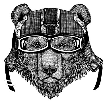 Brown bear Russian bear Hand drawn image for tattoo, t-shirt, emblem, badge, logo, patch