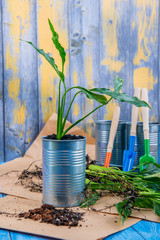 pot flower transplantation, garden accessories