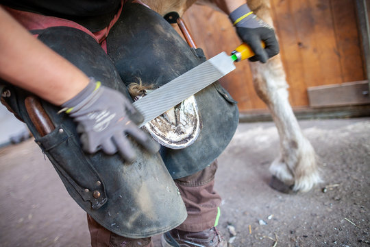 a blacksmith works on a horse hoof