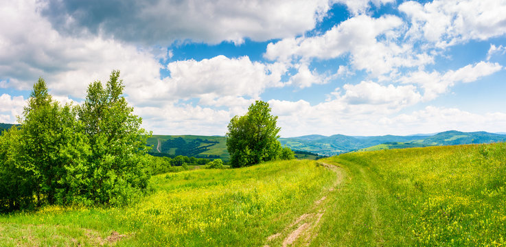 country road through grassy meadow on hillside. beautiful summer scenery of Carpathian mountains. gorgeous cloudscape on a blue sky