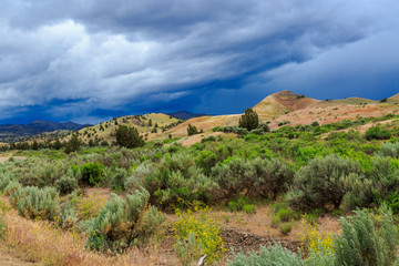 North America, United States, Oregon, Central Oregon, Redmond, Bend, Mitchell. Series of low clay hills striped in colorful bands of minerals, ash and clay deposits.