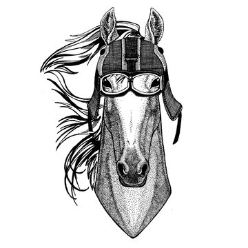 Horse, hoss, knight, steed, courser Animal wearing motorycle helmet. Image for kindergarten children clothing, kids. T-shirt, tattoo, emblem, badge, logo, patch