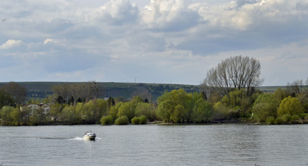 sportboot am rheinufer bei oppenheim