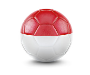 High qualitiy soccer ball with the flag of Monaco rendering.(series)