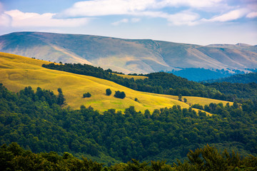 beautiful rolling hills of Carpathian mountains. lovely summer landscape, bird eye view