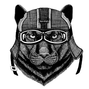 Black panther Hipster animal wearing motorycle helmet. Image for kindergarten children clothing, kids. T-shirt, tattoo, emblem, badge, logo, patch