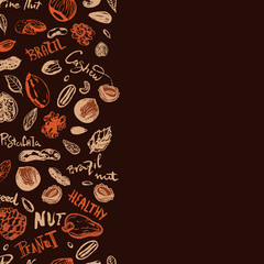 Nut food banner with hazelnut, walnut, pine nuts, pecan, peanut. Healthy hand drawn snack collection for promotion, logo, icon design