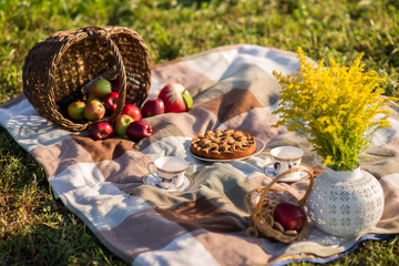 Summer picnic