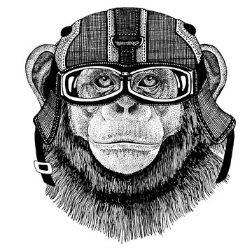 Chimpanzee, monkey Hipster animal wearing motorycle helmet. Image for kindergarten children clothing, kids. T-shirt, tattoo, emblem, badge, logo, patch
