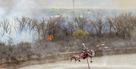 Heavy firefighting helicopter drafts water from the Colorado River © Scott