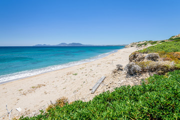 Relaxing at the greek mediterranean sea and feeling the smooth life of greece behind a green plant...