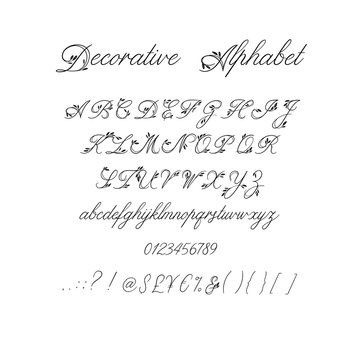 Calligraphy alphabet. Decorative handwritten brush font. Vector letters. Wedding calligraphy. ABC for your design
