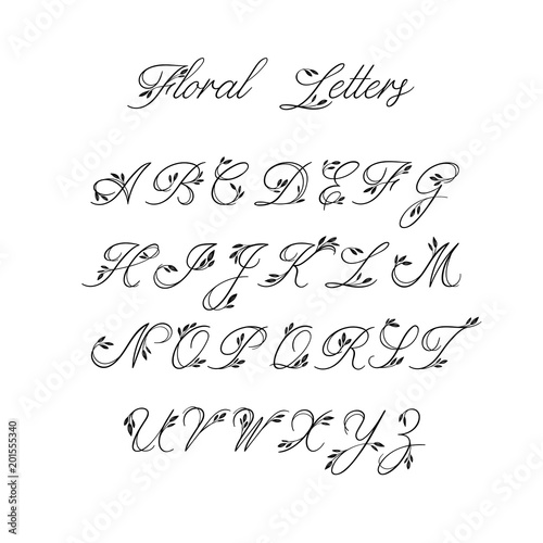 calligraphy alphabet decorative handwritten brush font vector